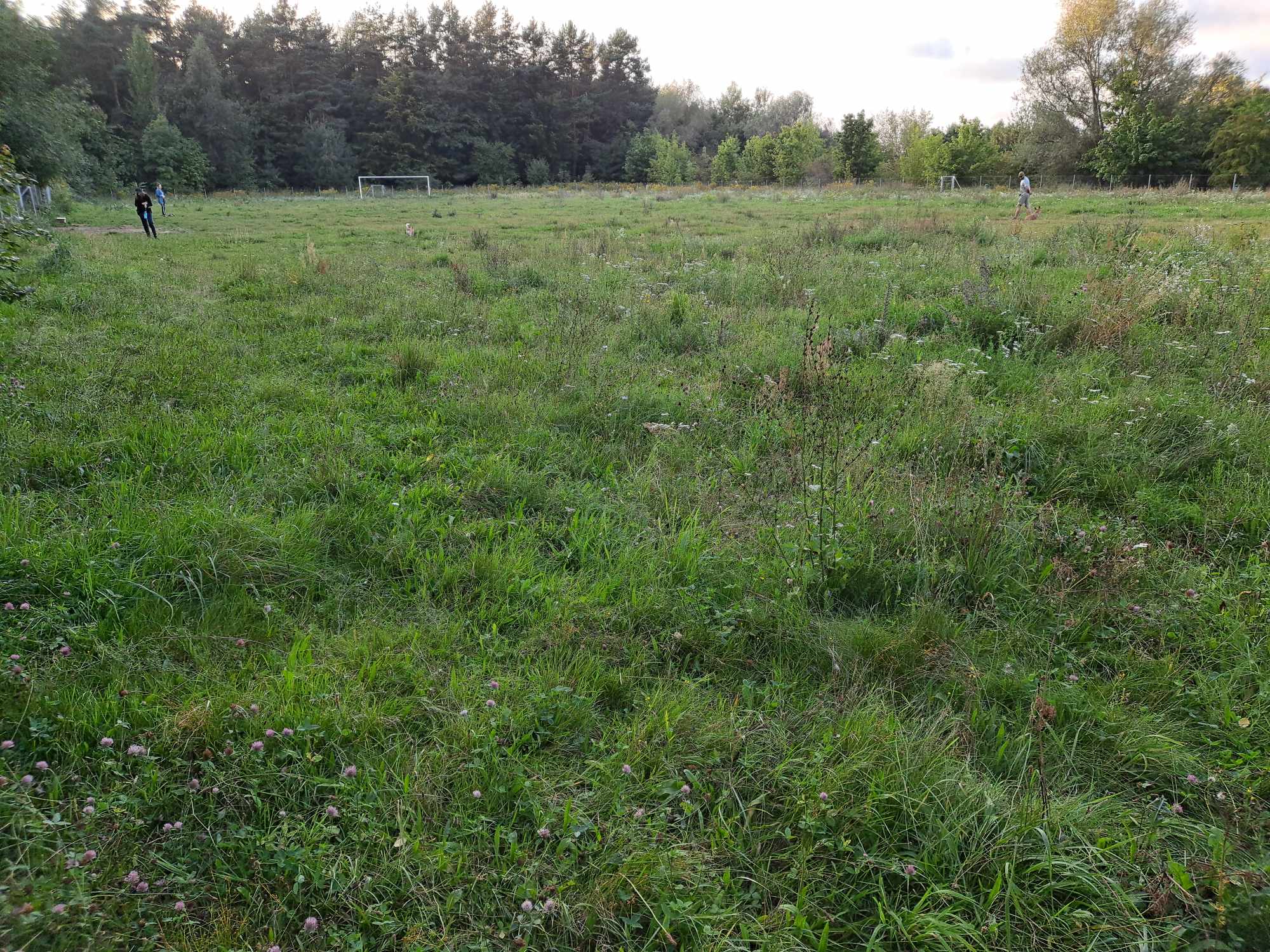 Nie damy rady już tego uratować…